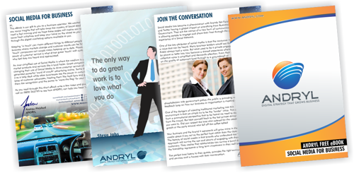 ANDRYL eBook Social Media for Business
